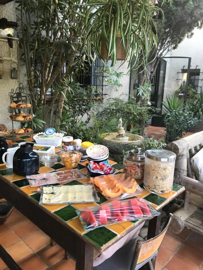 Le Jardin De La Cite Bed and Breakfast Carcassonne Eksteriør billede