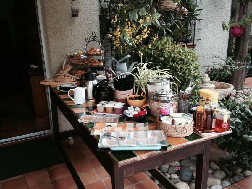 Le Jardin De La Cite Bed and Breakfast Carcassonne Eksteriør billede